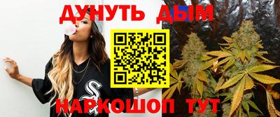 мдпв Новодвинск