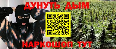 мдпв Новодвинск