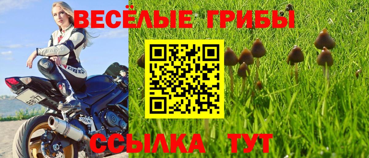 купить  сайты  Вход с VPN  Псилоцибиновые грибы Psilocybe  Архангельск  Псилоцибиновые грибы прущие грибы 